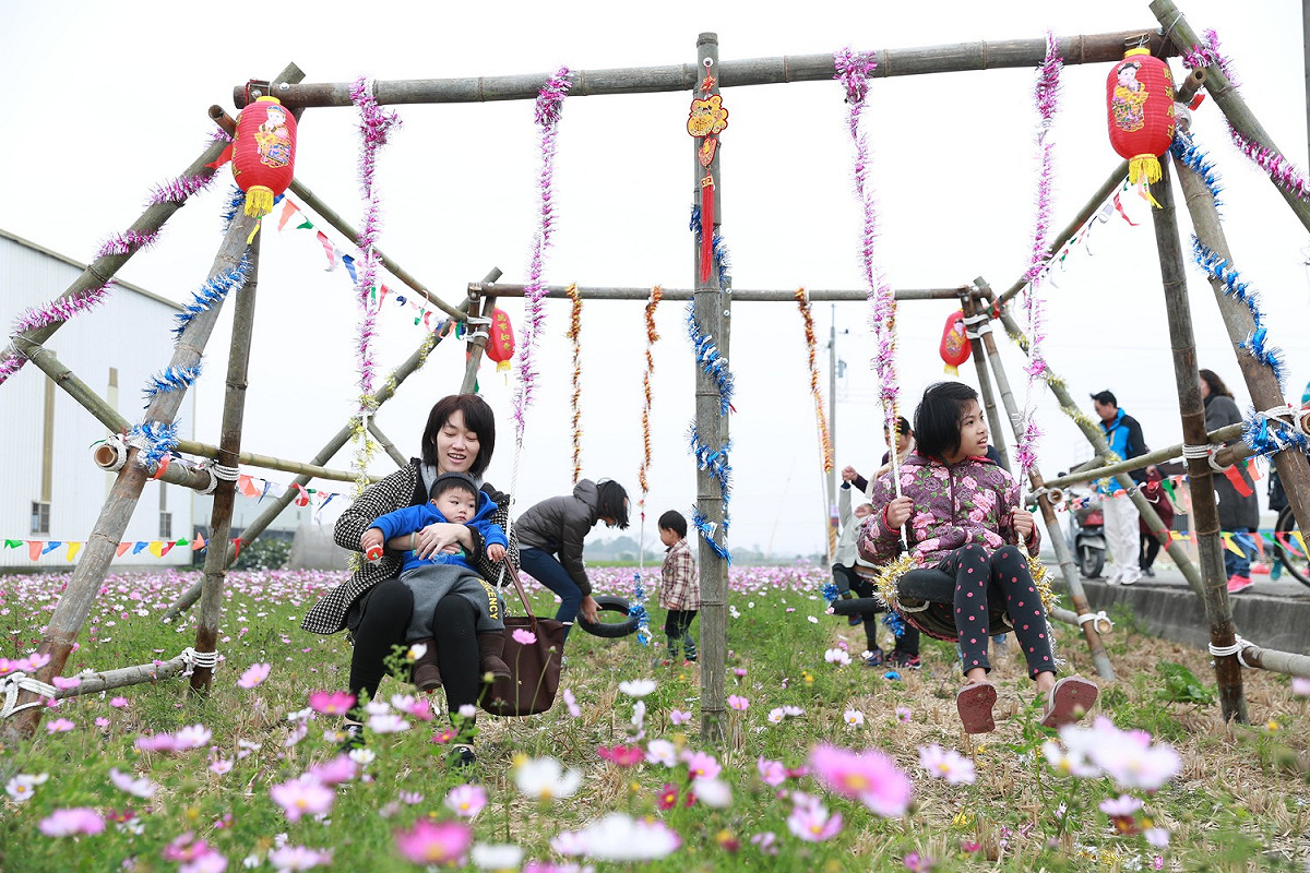 雲林縣莿桐花海節被譽為全國十大花海之一，今年花海已以波斯菊為主。 圖：雲林縣政府/提供