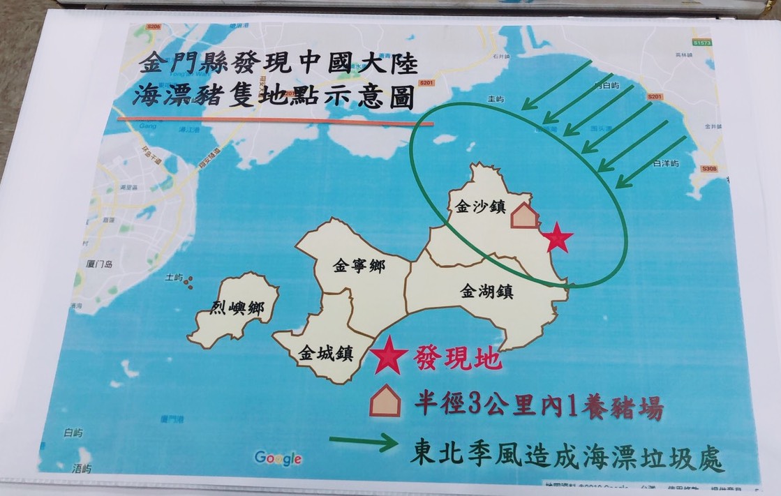 農委會推測該頭死豬應是從大陸漂流至金門。 圖：張嘉哲/攝