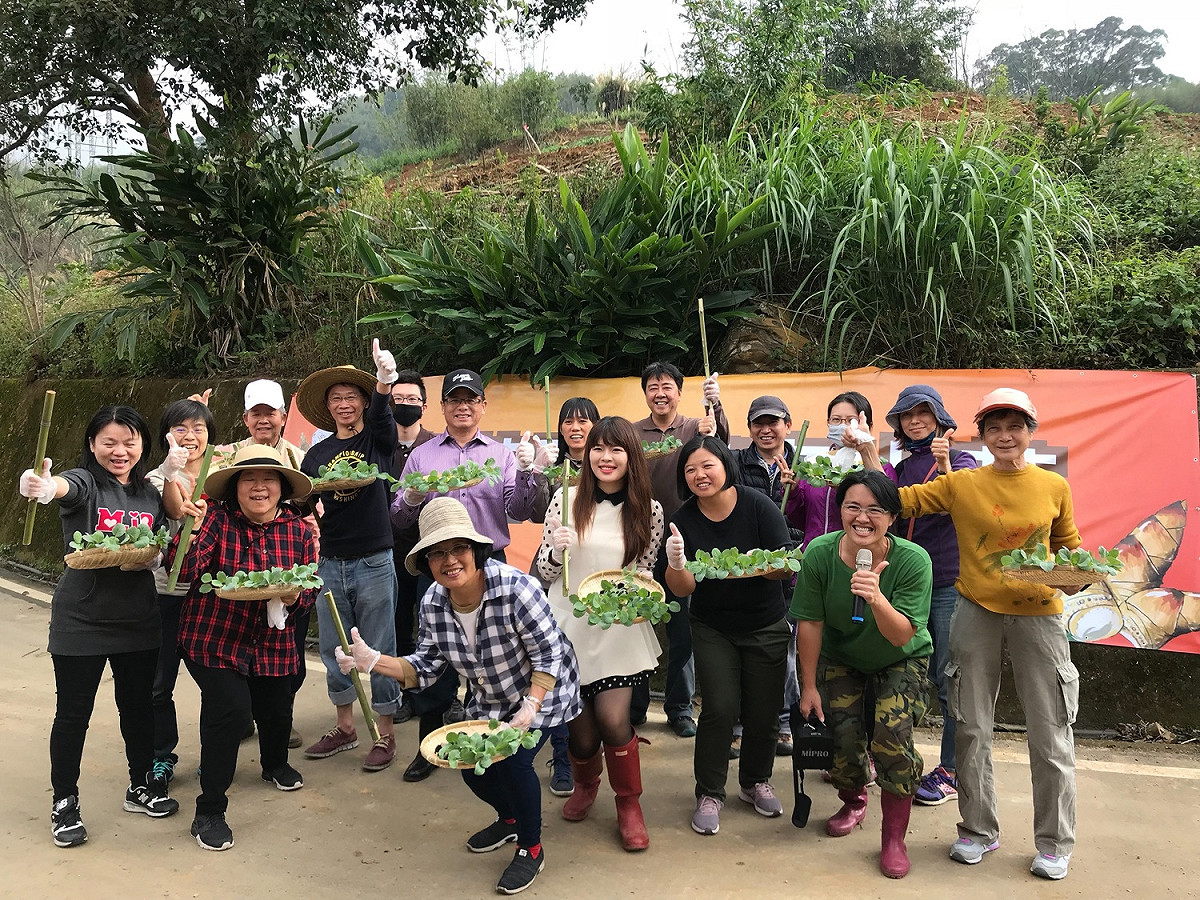 桃園山城紅花節的農事體驗活動可以讓民眾採摘有機蔬菜、吃焢窯地瓜，當「一日農夫」。 圖：桃園市政府農業局／提供