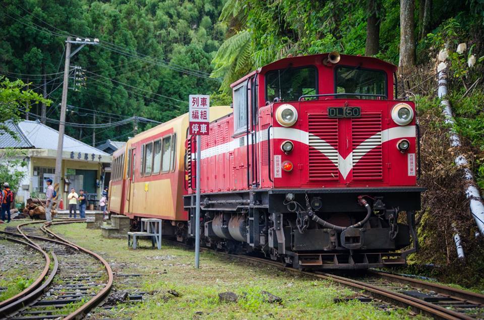 阿里山林業鐵路今年起開到十字路車站。 圖：阿里山林鐵文資處/提供