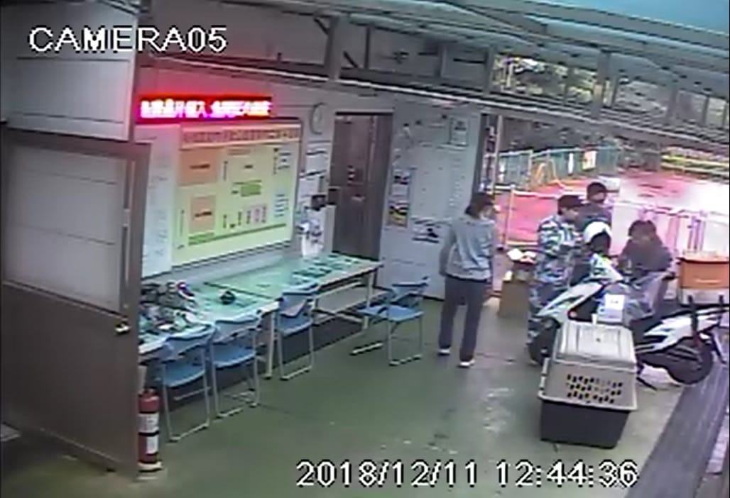 板橋動物之家收到快遞公司由快遞員騎機車，運送紙箱裝著的貓咪。 圖：翻攝板橋動物之家監視錄影畫面