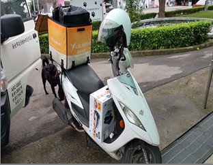 快遞公司的快遞員以機車運送被紙箱裝著的貓咪。 圖：新北市動保處/提供