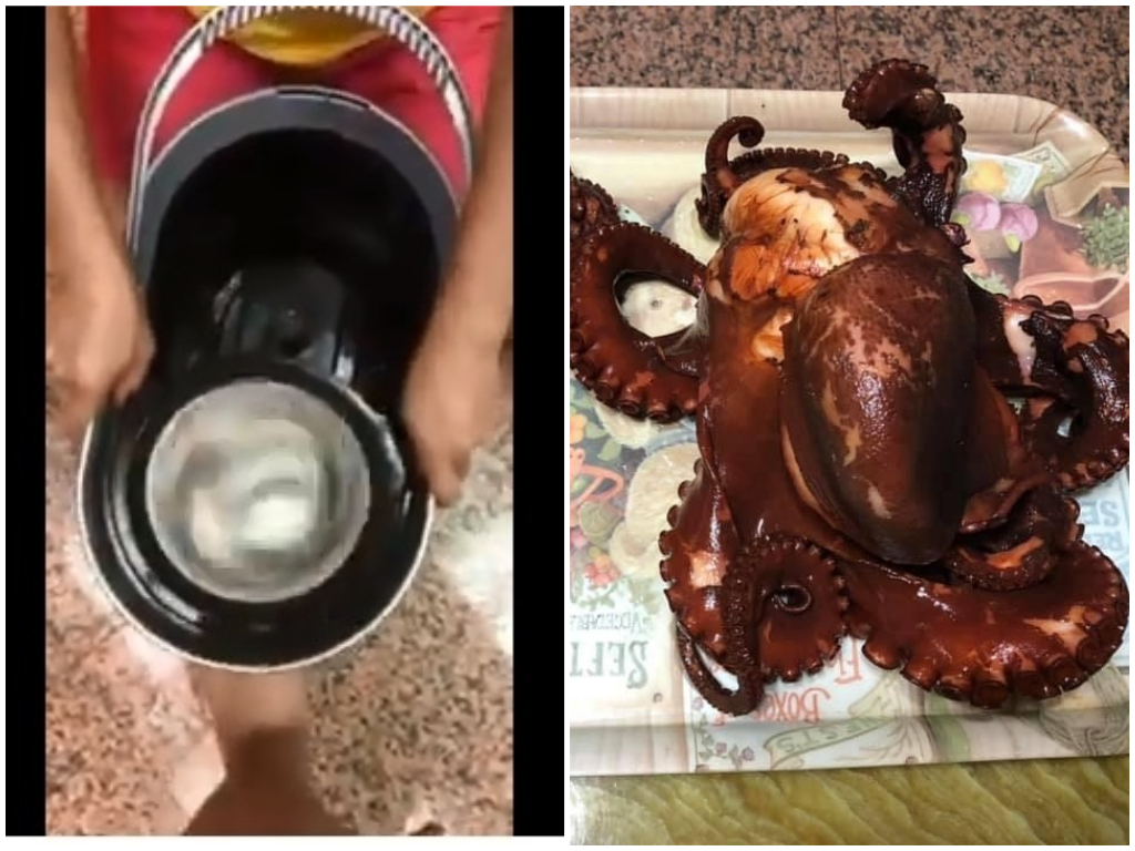 章魚要用洗衣機揉打後口感才爽脆，網友突發奇想拿出拖把的脫水桶想效仿。 圖 / 翻攝自臉書「爆怨公社」