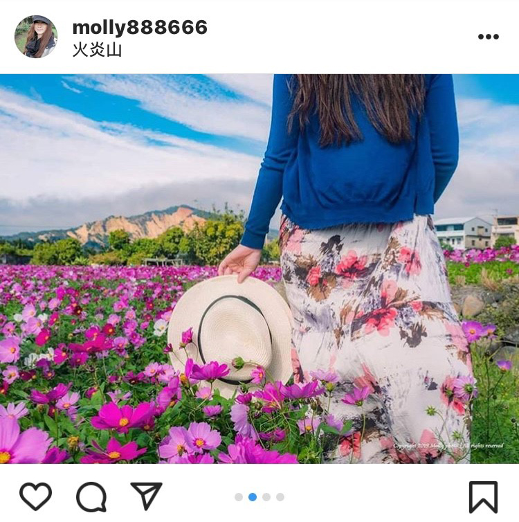 位於台中后里區的波斯花海秘境，不管怎麼拍都好看。 圖：翻攝自instagram molly888666／開放權限