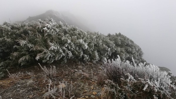 鋒面通過加上大陸冷氣團南下，北台灣越晚越冷，入夜氣溫可下探14度，氣象專家吳德榮指出，3500公尺以上高山如玉山、雪山等有望降雪。(資料照：玉山的霧淞) 圖：中央氣象局／提供