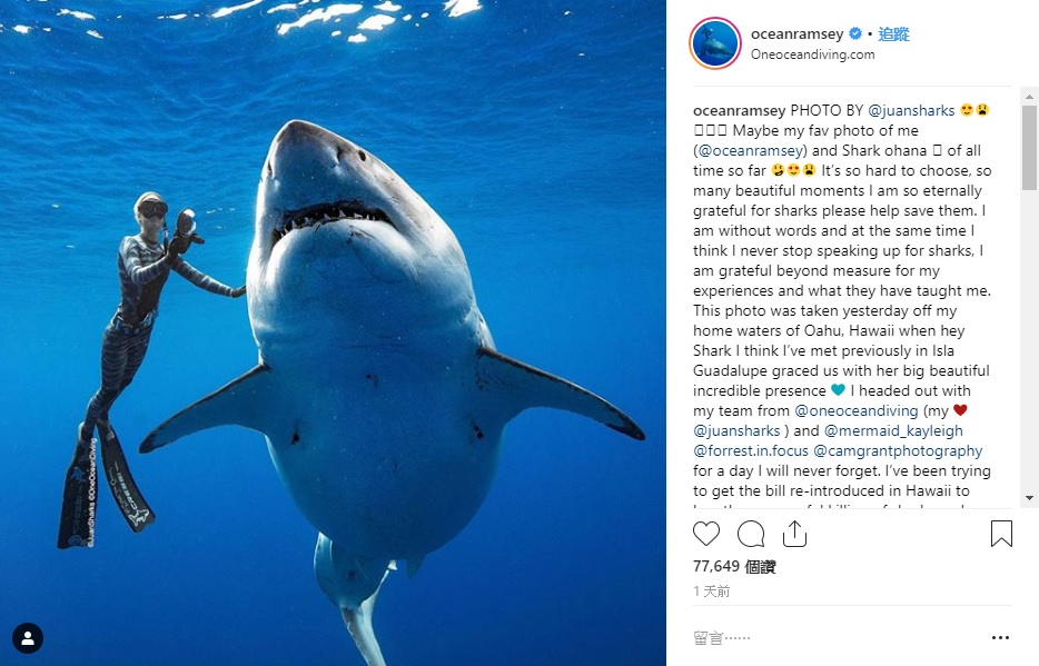 潛水客藍西（Ocean Ramsey）在社群軟體放上與鯊魚的合照。 圖：Ｏcean Ramsey Instagram／翻攝