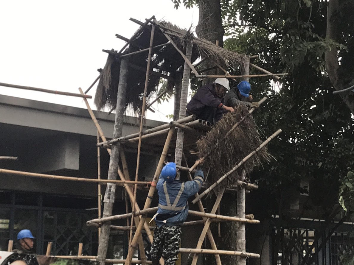 「原轉小教室」今（21）上午進行強拆。 圖：周煊惠 / 攝