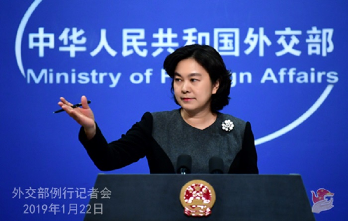 中國外交部發言人華春瑩。 圖：翻攝中國外交部網站