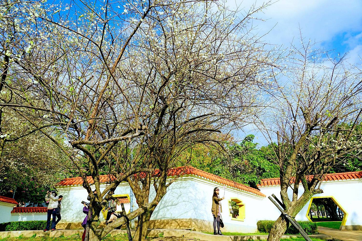 志成公園充滿中國風的園林造景，不只迷人也超好拍。 圖：截自台北旅遊網粉絲專頁，高讚賢/攝