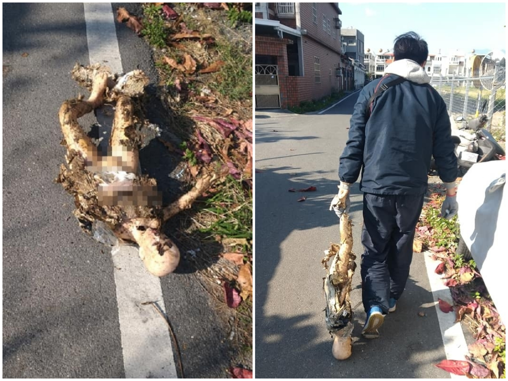 替代役弟兄在掃地時驚見被遺棄的矽膠娃娃。 圖：翻攝自爆怨公社