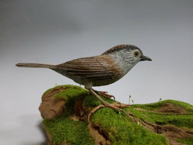 「如生─2019臺日野鳥雕刻工藝創作交流展」預計展出作品-頭烏線  圖：工藝台北分館/提供