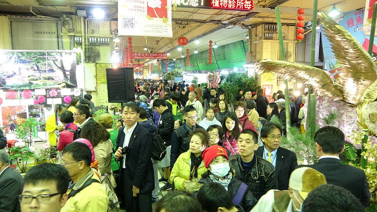 「2019春節花市暨日本松江大根島牡丹花展」開幕首日。 圖：台北市政府提供