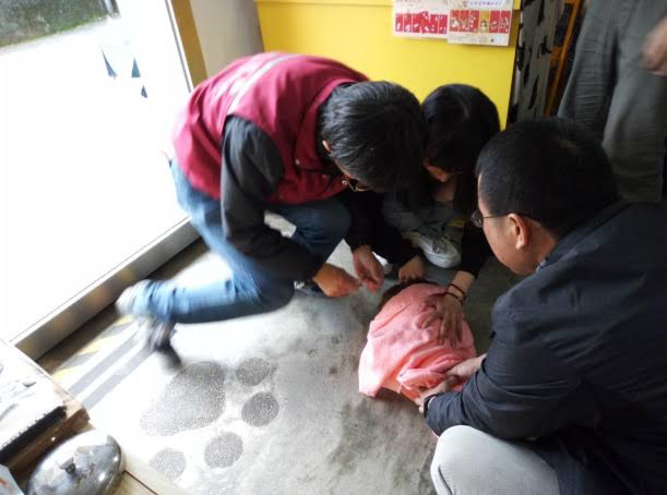 動保處與志工加強替貓隻施打疫苗保護貓隻健康。 圖：新北市動保處/提供