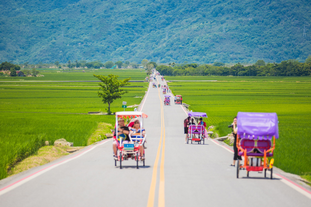 在伯朗大道中騎單車、散步，遙望遠方迷人的山景，使人感到身心放鬆。 圖：翻攝自花東縱谷國家風景區管理處網站