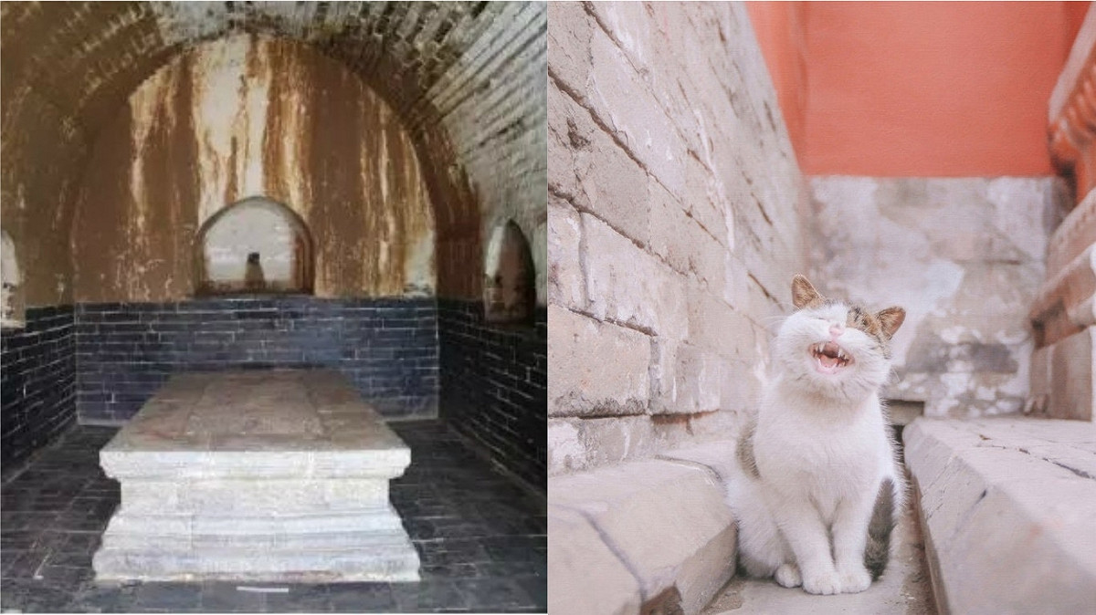 日前南京出土了兩個明代的公主墓，在懷慶公主的墓中還發現了兩具貓骨，考古人員表示，這是首次發現「貓奴」的公主。 圖 / 翻攝自南京考古微信