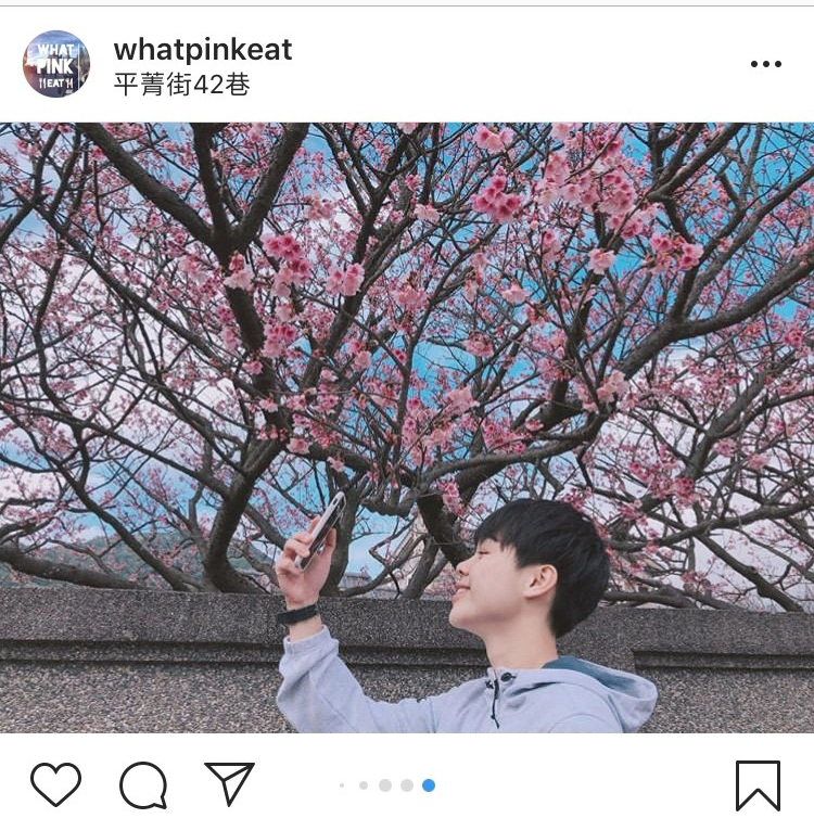 「平菁街42巷」迷人的櫻花景緻，不管怎麼拍都好看。 圖：翻攝自instagram whatpinkeat／開放權限