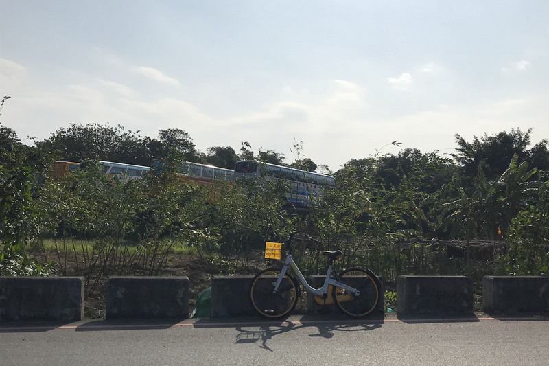 圖為一輛oBike停在關渡平原旁道路，車籃還被放置廣告。 圖：中央社