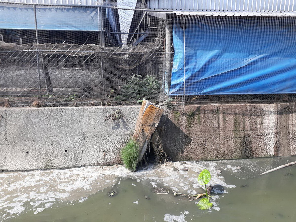 環保局查獲2家養豬場有排放廢水情形。 圖：屏東縣政府提供