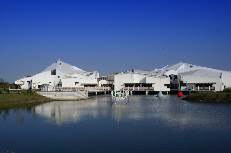 台江國家公園。 圖：營建署/提供