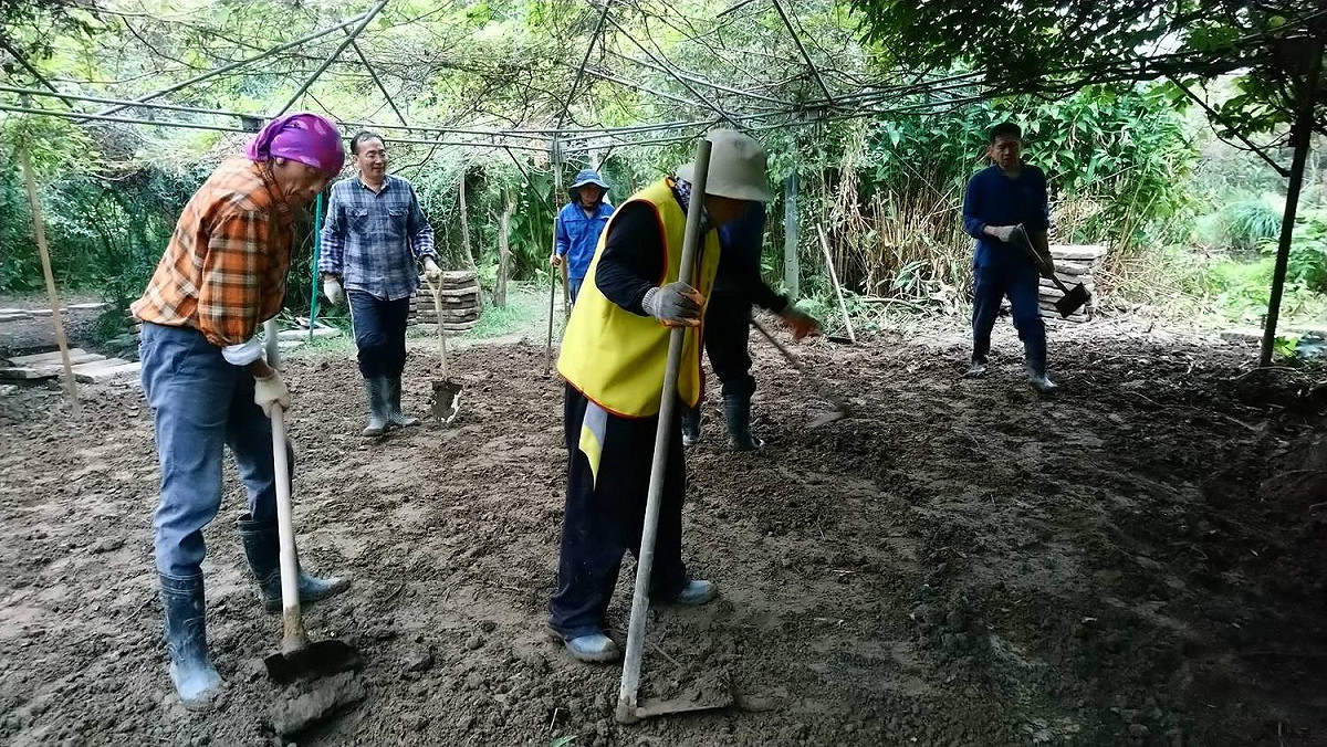 永和社區大學進行環境保育實務工作。 圖：翻攝自 福和濕地志工隊/臉書