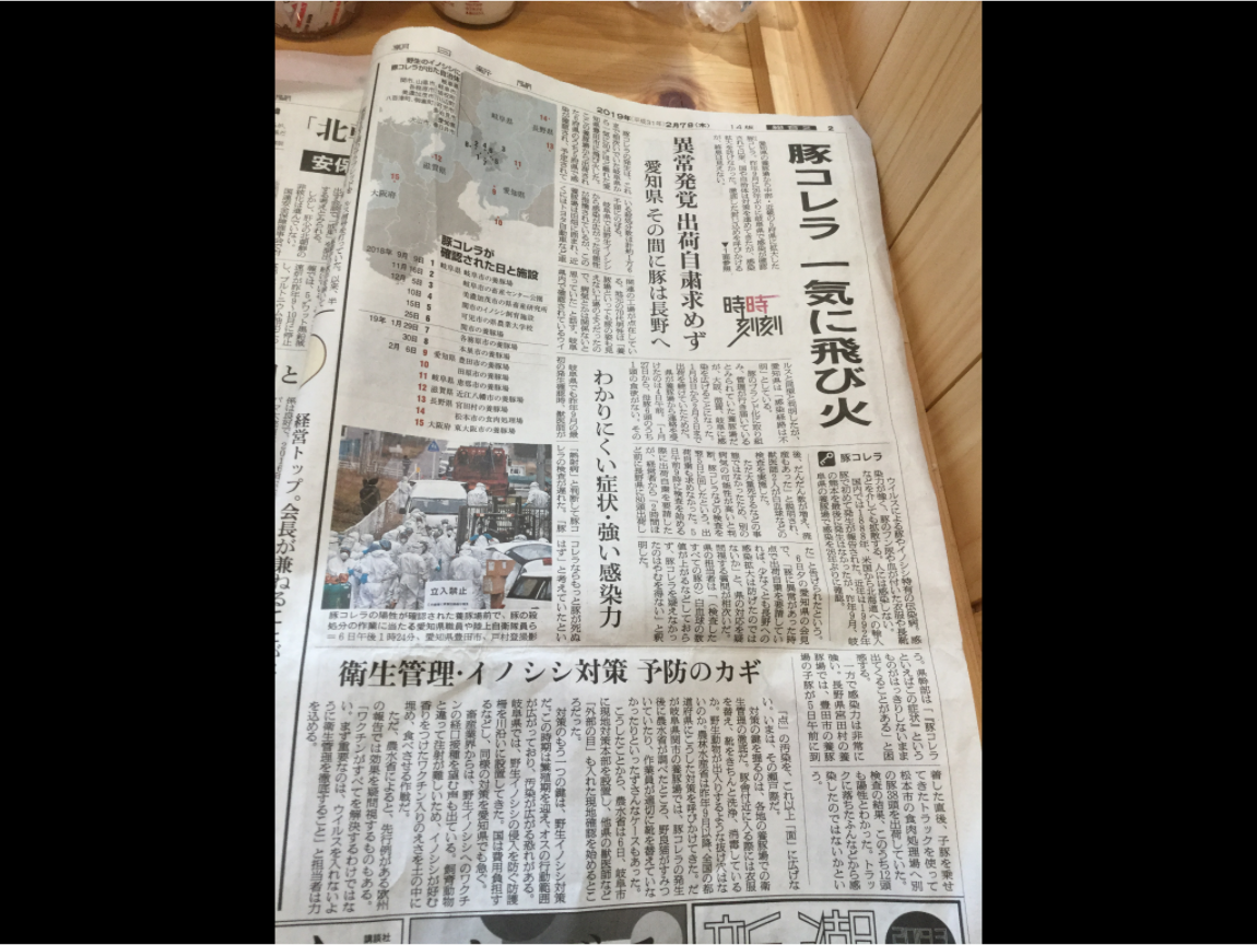 日本今天最震撼的消息是愛知縣豐田市一處養豬場，去年９月就確認的豬瘟，因為繼續銷出仔豬到鄰近府縣，導致大阪府、長野縣、滋賀縣、岐阜縣等也跟著遭殃，目前也在加強檢查中，到今天已撲殺1萬6千頭，也還繼續展開撲殺與消毒，評估至少要撲殺2萬7千頭。圖為朝日新聞。 圖：劉黎兒翻攝