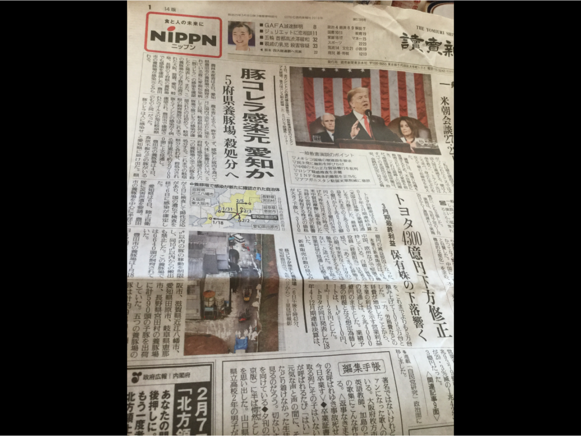 日本今天最震撼的消息是愛知縣豐田市一處養豬場，去年９月就確認的豬瘟，因為繼續銷出仔豬到鄰近府縣，導致大阪府、長野縣、滋賀縣、岐阜縣等也跟著遭殃，目前也在加強檢查中，到今天已撲殺1萬6千頭，也還繼續展開撲殺與消毒，評估至少要撲殺2萬7千頭。圖為讀賣新聞。 圖：劉黎兒翻攝
