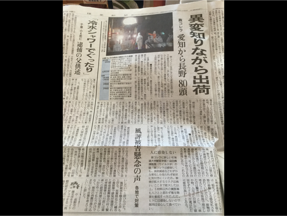 日本今天最震撼的消息是愛知縣豐田市一處養豬場，去年９月就確認的豬瘟，因為繼續銷出仔豬到鄰近府縣，導致大阪府、長野縣、滋賀縣、岐阜縣等也跟著遭殃，目前也在加強檢查中，到今天已撲殺1萬6千頭，也還繼續展開撲殺與消毒，評估至少要撲殺2萬7千頭。圖為讀賣新聞。 圖：劉黎兒翻攝