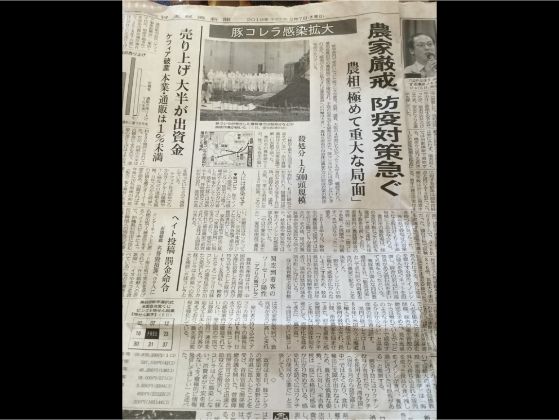 日本今天最震撼的消息是愛知縣豐田市一處養豬場，去年９月就確認的豬瘟，因為繼續銷出仔豬到鄰近府縣，導致大阪府、長野縣、滋賀縣、岐阜縣等也跟著遭殃，目前也在加強檢查中，到今天已撲殺1萬6千頭，也還繼續展開撲殺與消毒，評估至少要撲殺2萬7千頭。圖為日本經濟新聞。 圖：劉黎兒翻攝