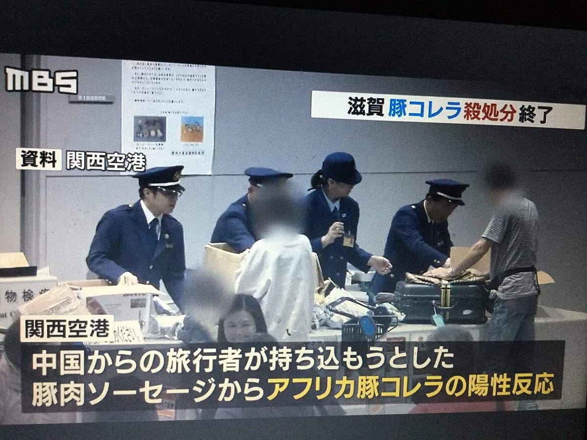 日本政府加強海關檢疫，發現陸客帶來的香腸有非洲豬瘟病毒（呈陽性反應）。 圖：劉黎兒翻拍自2月7日每日放送