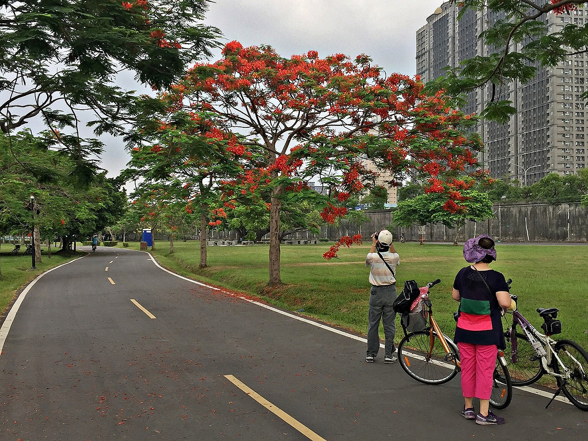 新北河濱公園生態景觀豐富多元。 圖／新北市政府提供