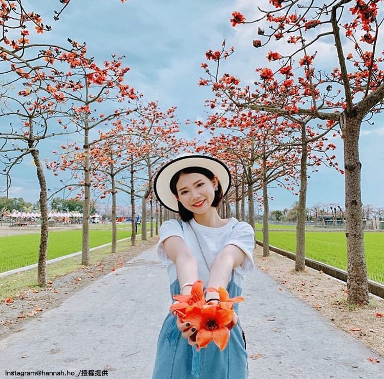 「白河林初埤木棉花道」也是台南近期熱門的打卡勝地。 圖：翻攝自instagram hannah.ho_／開放權限