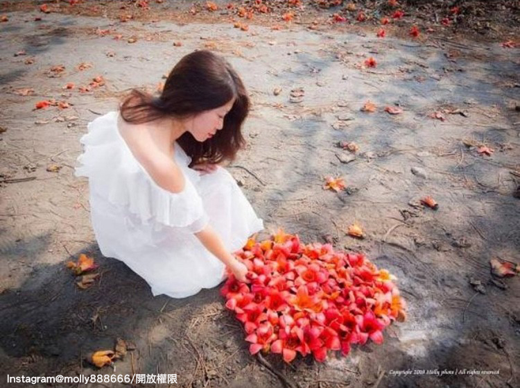 「彰化竹塘木棉花道」是當地人的私房賞花景點。 圖：翻攝自instagram molly888666／開放權限