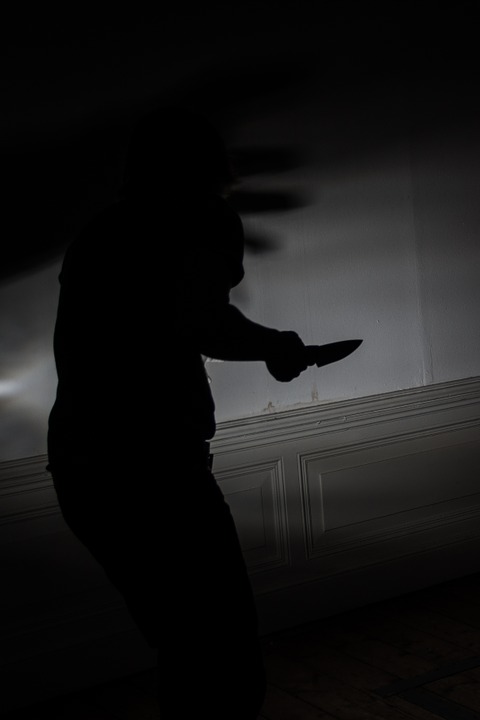 涉嫌在台南市大林國宅商圈刺殺68歲婦人的林姓嫌犯，今天台南地院裁定羈押，圖為示意。 圖：取自pixabay/niekverlaan