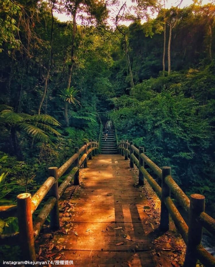 「三民蝙蝠洞」步道沿途設有石磚陸，因此十分好走。 圖：翻攝自instagram kejunyan74／開放權限