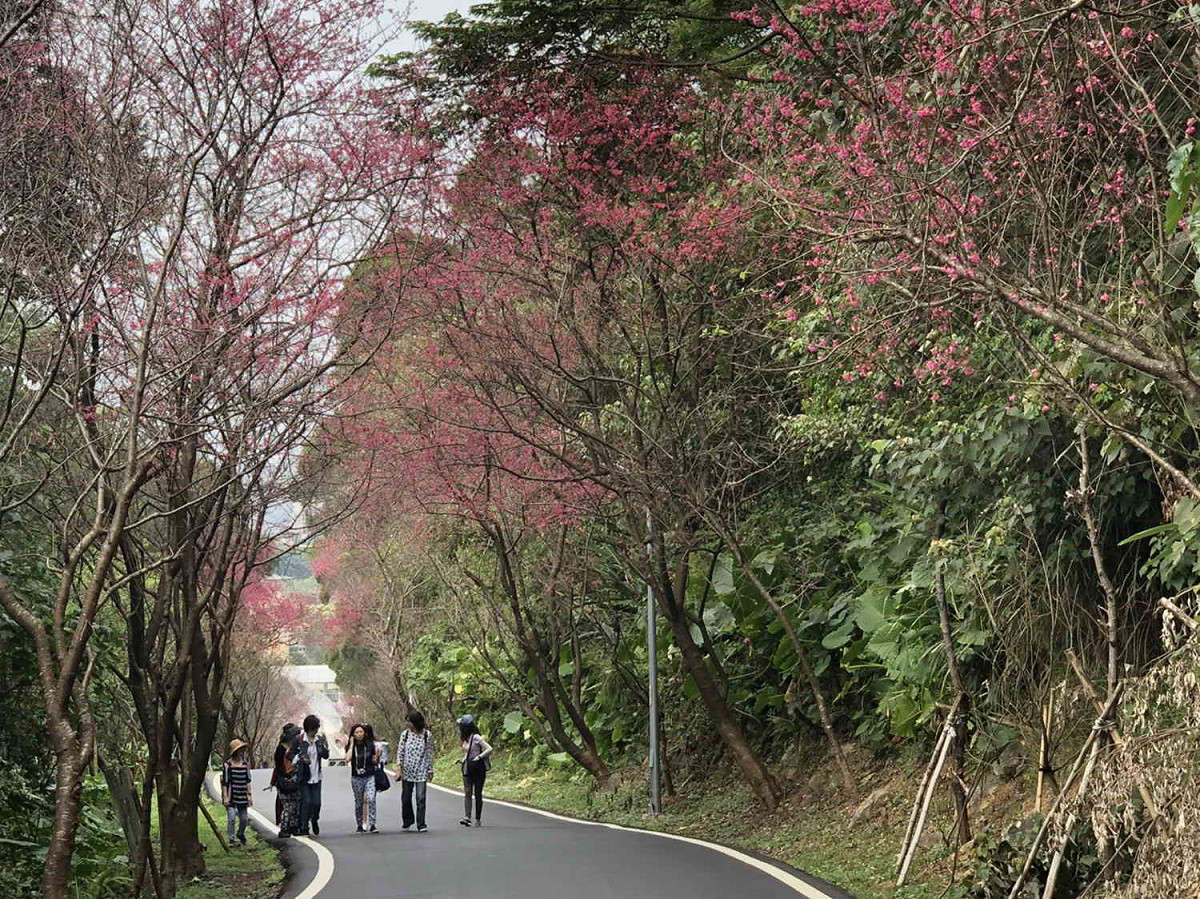 春暖花開！正是適合旅遊的季節。 圖：新北市政府/提供