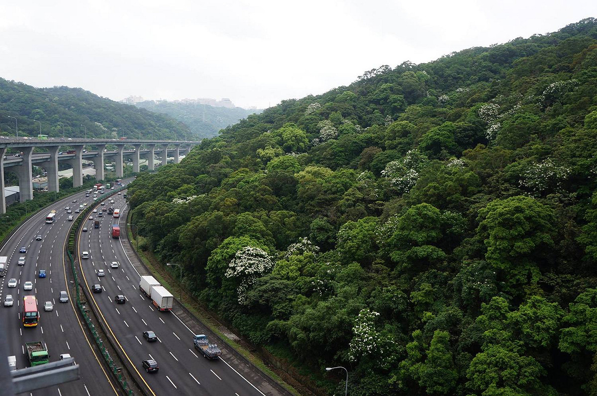 高公局預估，國5下午將還有一波南下車潮。 圖：截自高速小飛力臉書