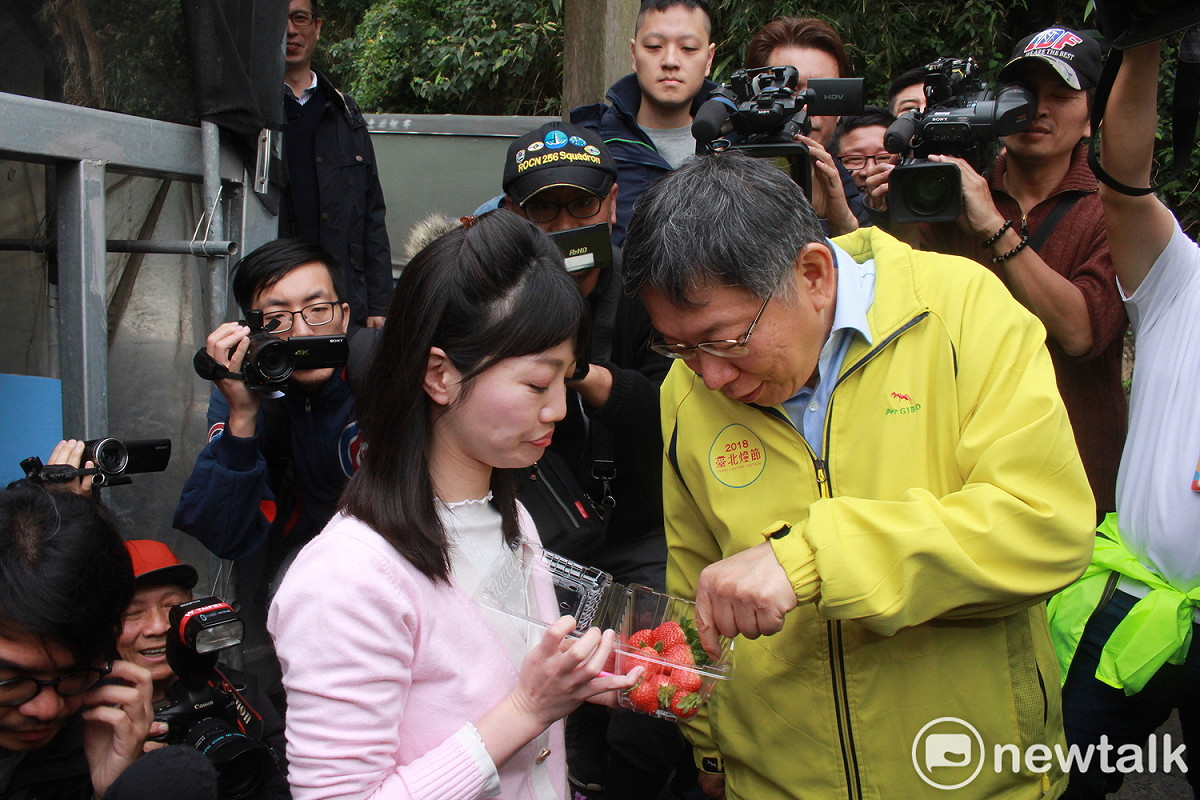 台北市長柯文哲（右）與議員高嘉瑜（左）體驗採草莓。 圖：周煊惠 / 攝