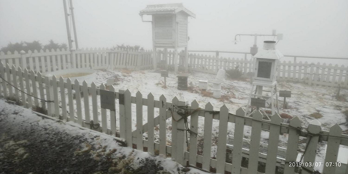 玉山在今天凌晨2時降雪1個多小時，積雪厚度達1公分。 圖：中央氣象局/提供