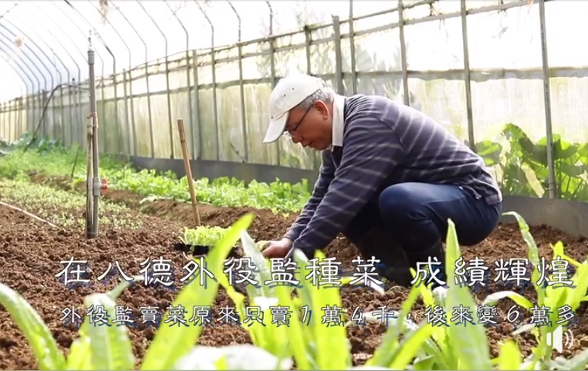 頂新集團董事長魏應充今日在臉書推出種菜影片，透露自己在外役監期間，教種菜讓收入倍增的「成就」。 圖：翻攝自魏應充臉書