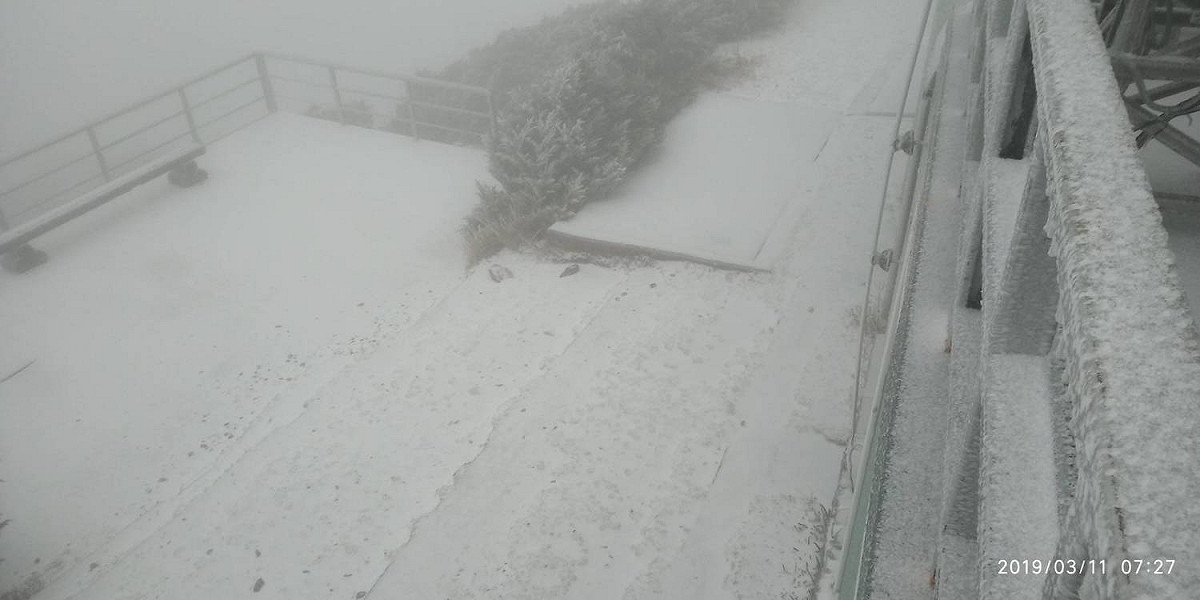 中央氣象局指出，玉山今天凌晨下雪了！ 圖：中央氣象局/提供