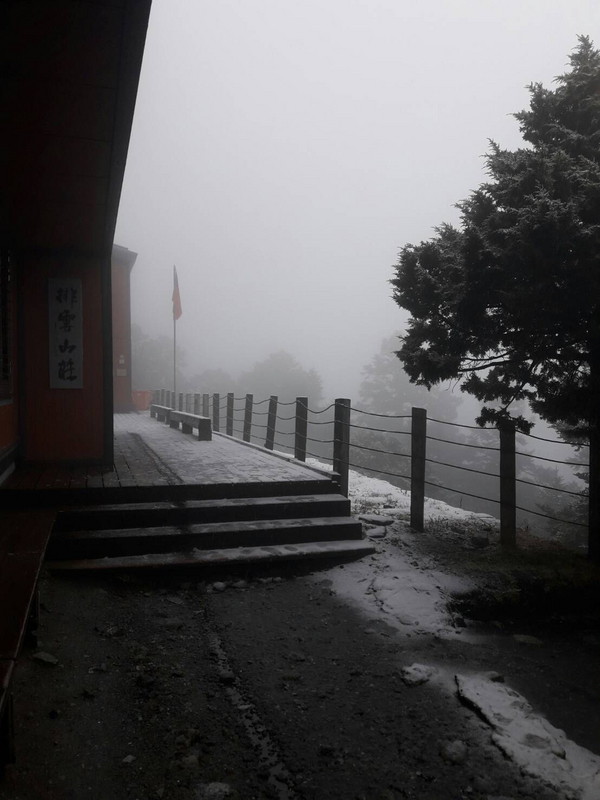 排雲山莊今天上午飄雪，不過很快就融化，剩草叢有殘雪。 圖：玉山國家公園管理處/提供