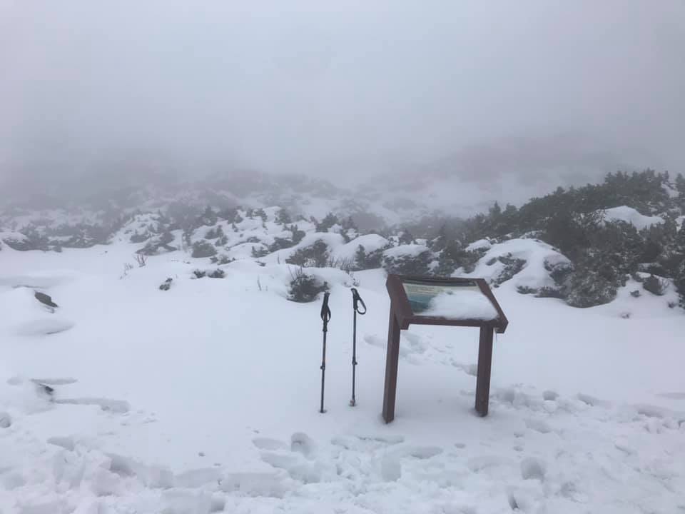 受到冷氣團影響，雪山圈谷昨天下雪一整天，積雪達50公分。 圖：鄭僥龍/提供