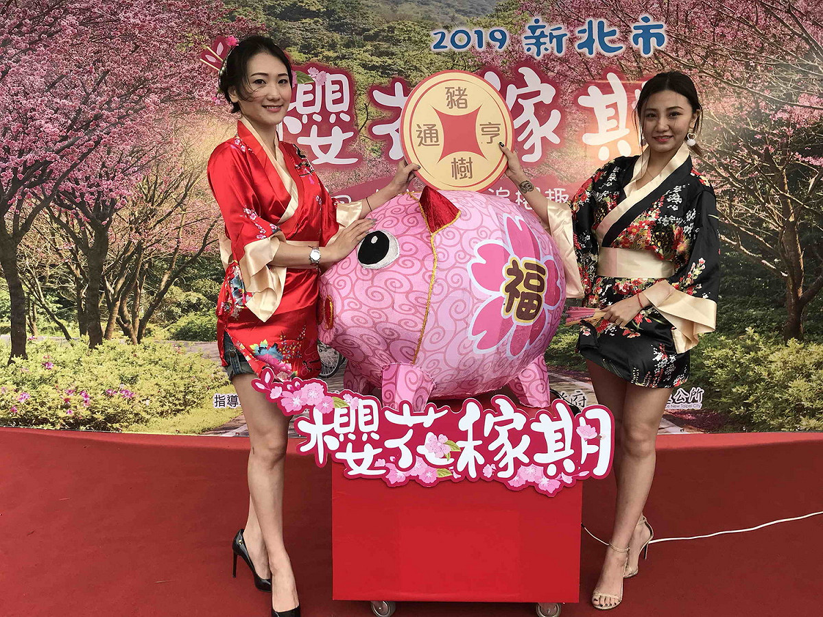 「櫻花稼期」記者會以「豬樹平安」的錢幣，點亮可愛櫻花豬，象徵存入了幸福、財富、福氣、平安。 
 圖：淡水區公所提供