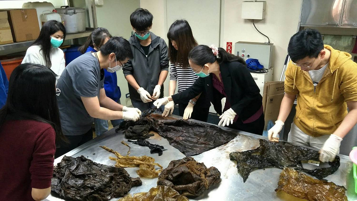 胃內容物清理現場。 圖：海保署／提供