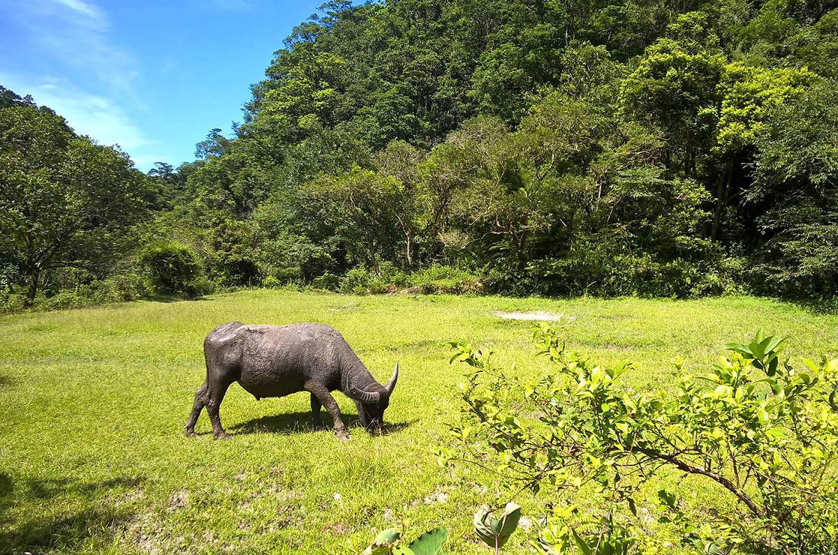 淡蘭古道中路（民路）。 圖：新北市觀光旅遊局／提供