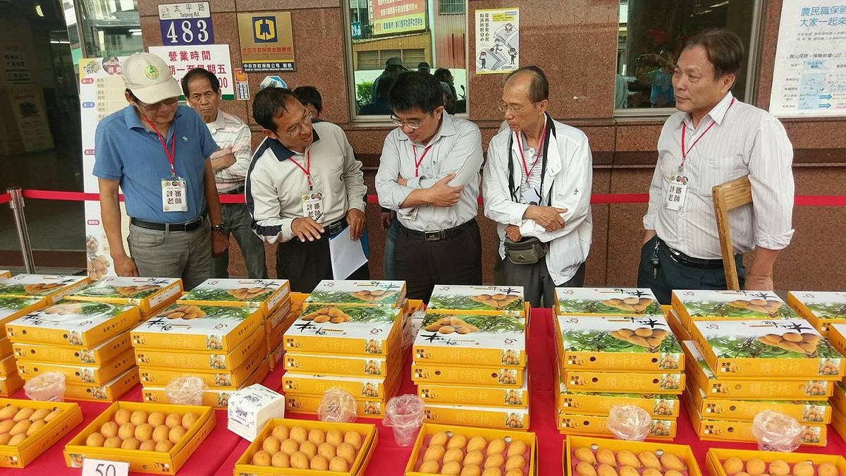 台中農業局今（20）日於太平區農會舉辦「108年度台中市太平地區優質枇杷評鑑活動」。 圖：台中市農業局／提供