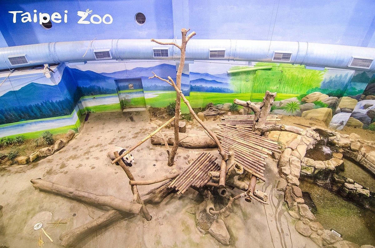 動物行為豐富化器具及棲架維護或重整。 圖：台北市立動物園／提供