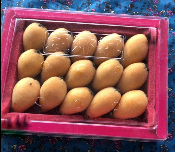 金黃飽滿的枇杷是春天第一個上市的水果。圖為台中太平頭汴坑所產之枇杷。 圖：翻攝自太平農會／2019太平枇杷節臉書