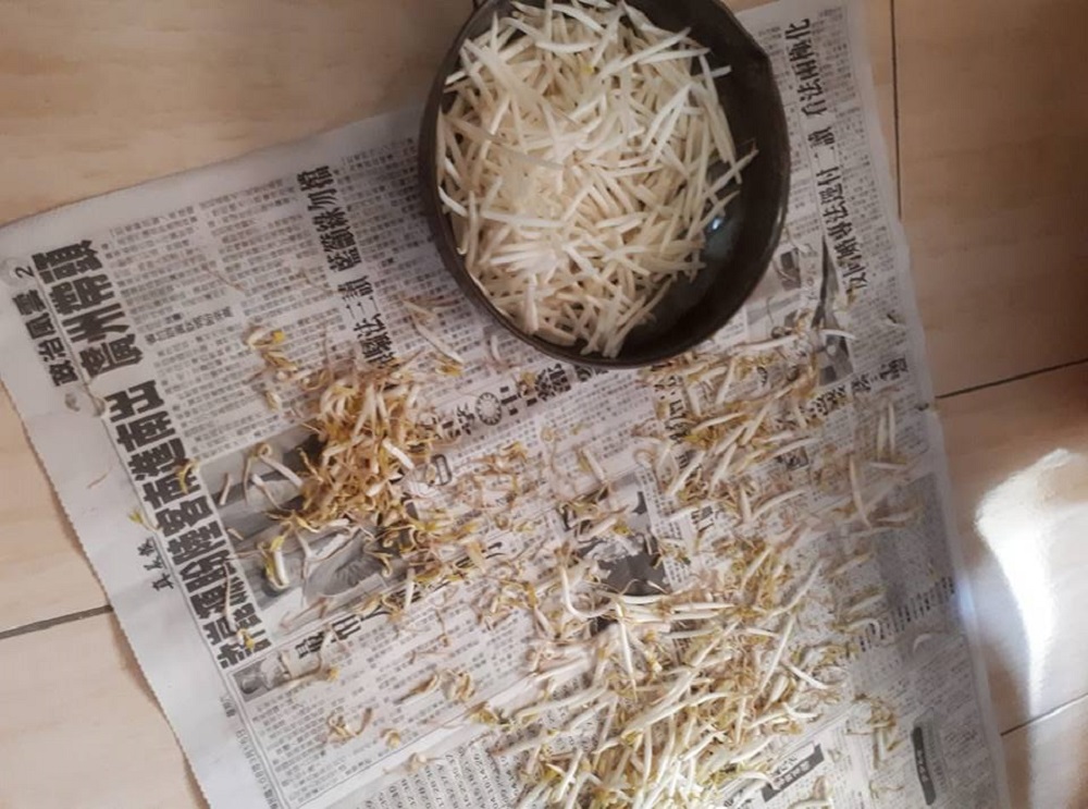 豆芽菜為何要「去頭去尾」？專業老饕揭背後驚人秘密。 圖／翻攝自臉書社團爆廢公社