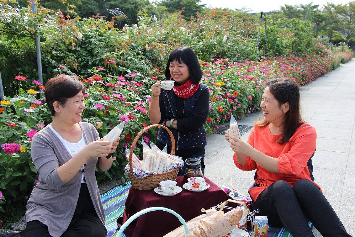花博新生園區多達700種玫瑰盛開的美景，令人目不暇給。 圖：取自 工務話台北 臉書粉絲專頁